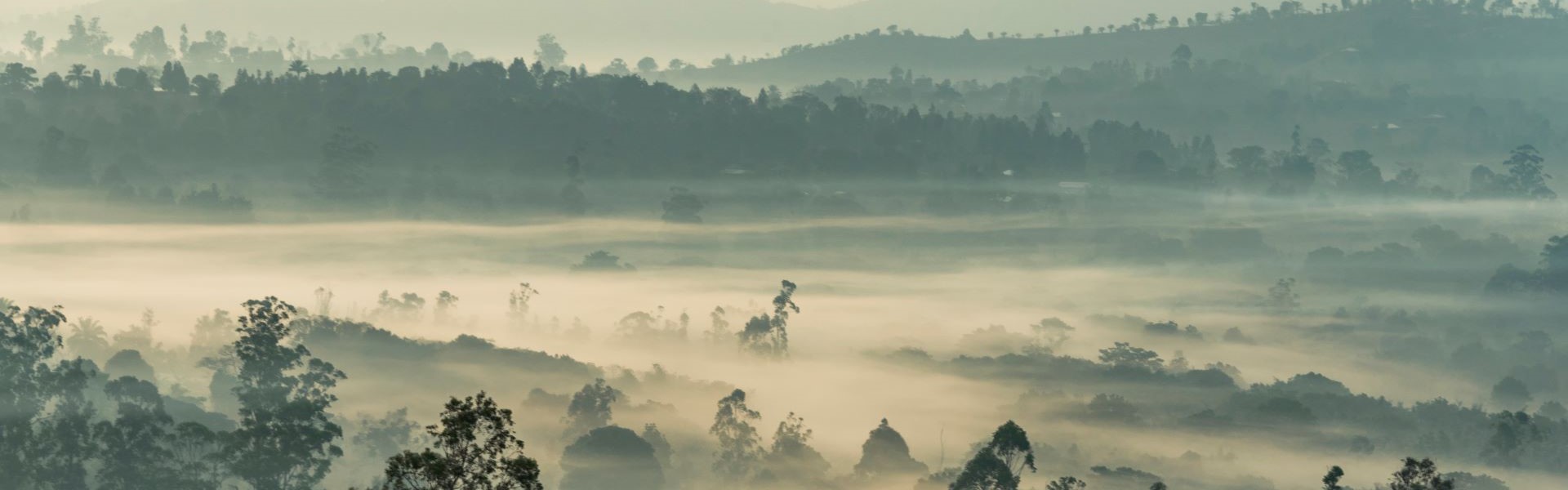 Fog over mountains